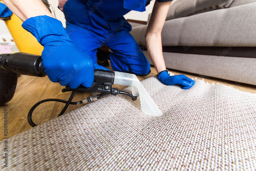 Valdivian Hardwood Floor and Carpet Cleaning Services