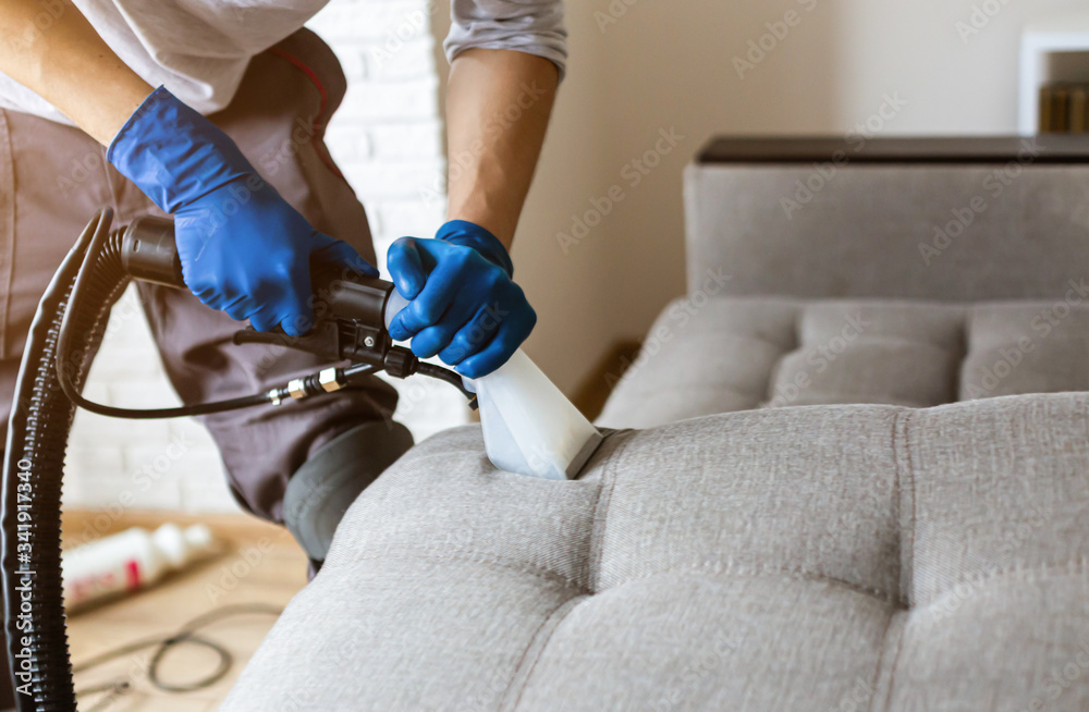 Valdivian Hardwood Floor and Carpet Cleaning Services